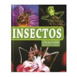 Insectos.jpg