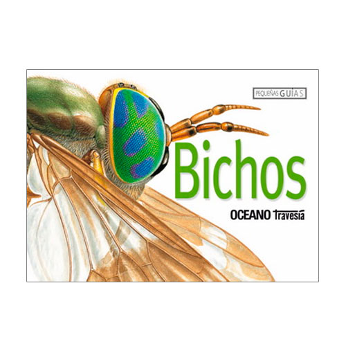 bichos-1.jpg