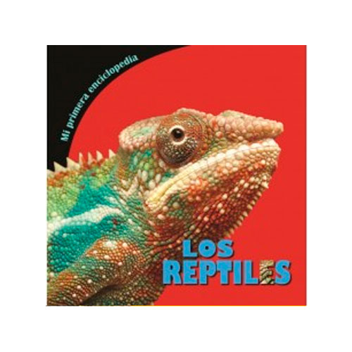 los-reptiles-29.jpg