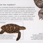 Reptiles-y-Anfibios-int-1