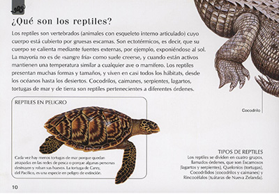 Reptiles-y-Anfibios-int-1