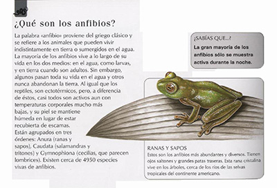 Reptiles-y-Anfibios-int-3