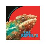 los-reptiles-29
