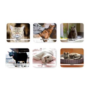 Juego de Memoria Gatos - Imagen 3