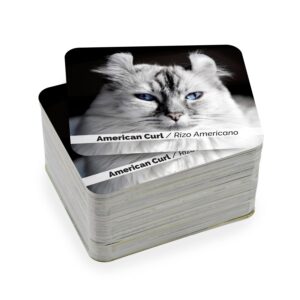 Juego de Memoria Gatos - Imagen 4