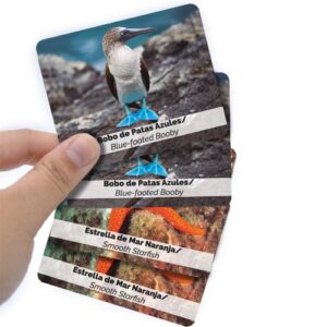 Juego de memoria. Animales Marinos - Imagen 3