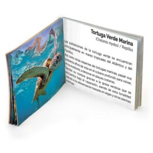 Juego de memoria. Animales Marinos - Imagen 2